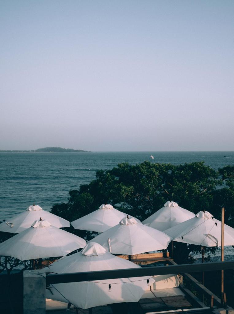 Ceylon Sliders photo 4