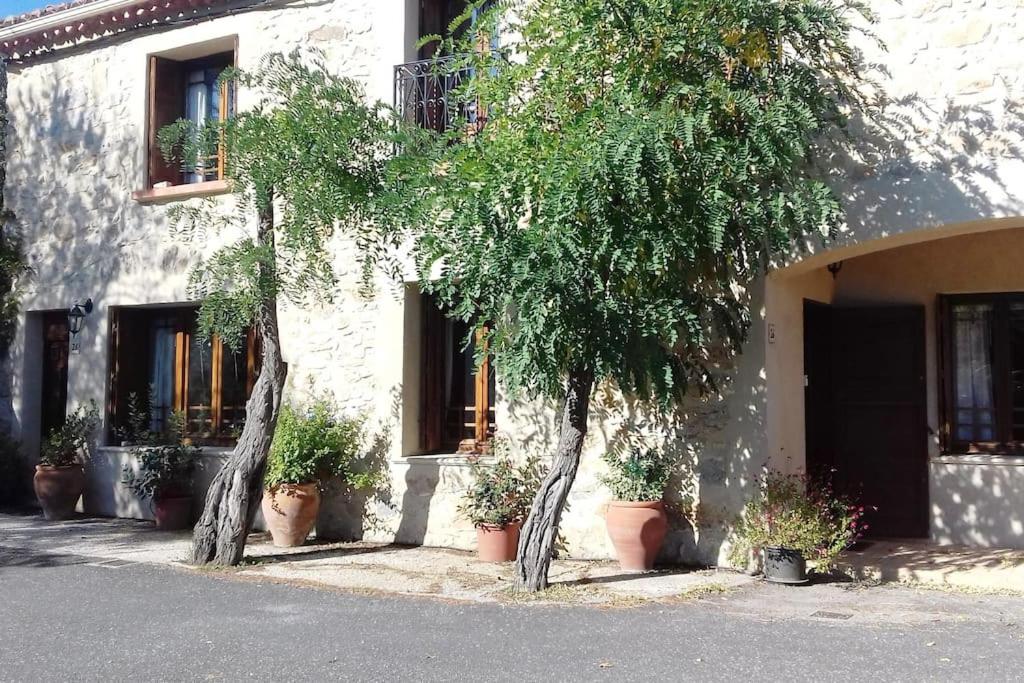 Chez Sheila photo 1