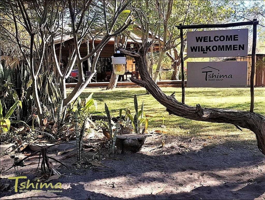 Tshima Bush Camp photo 2
