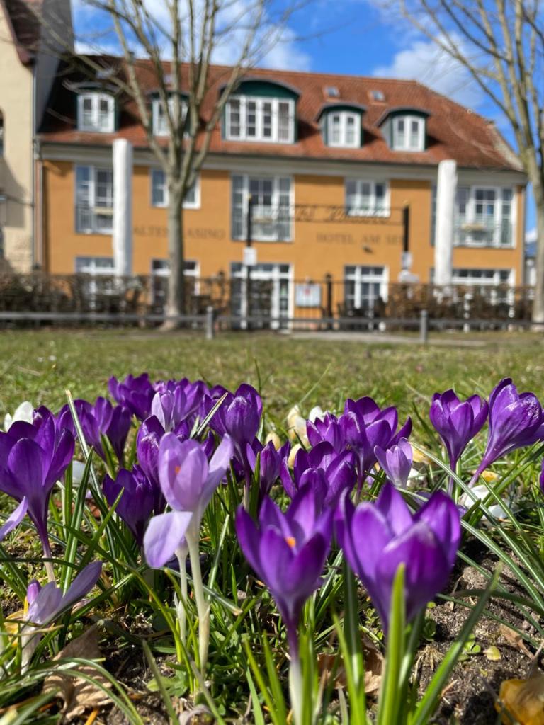 Altes Kasino Hotel am See photo 1