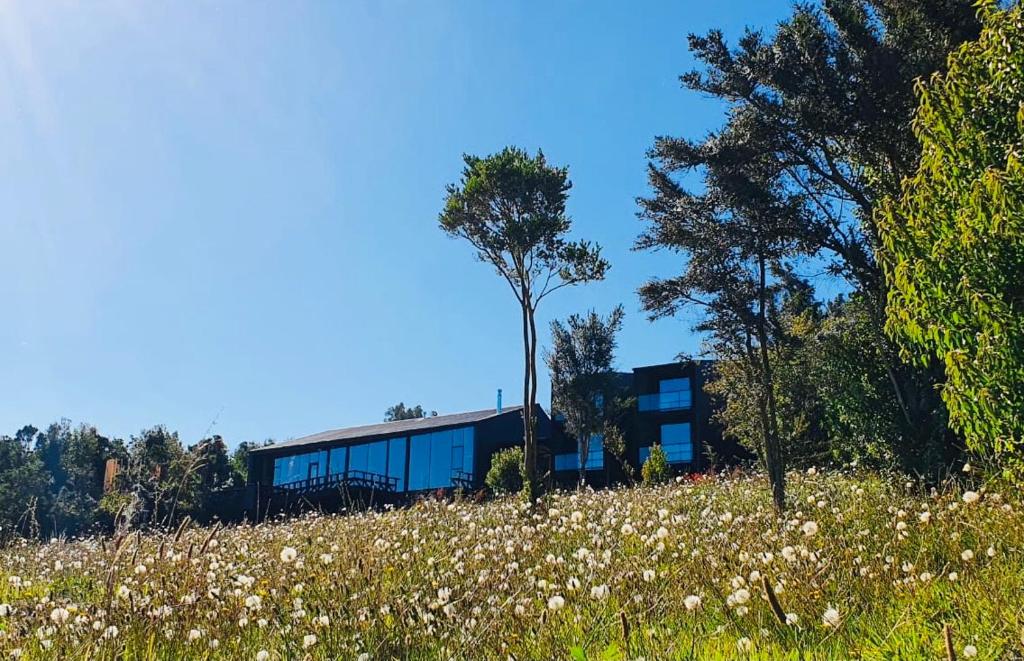 Hotel & Cava Estancia Rilán photo 2