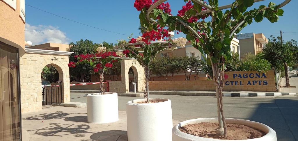 Pagona Holiday Apartments photo 1