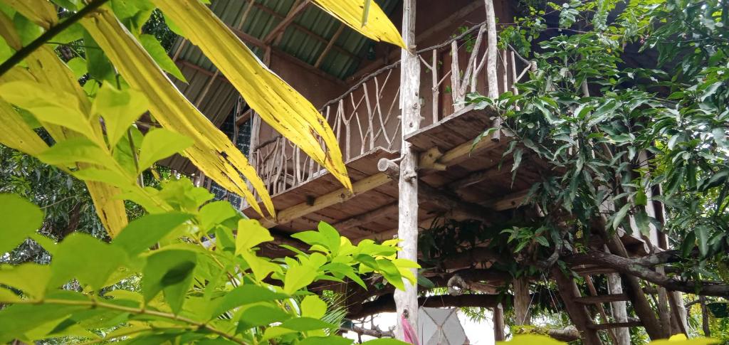Sigiri Panaromic Tree House photo 1