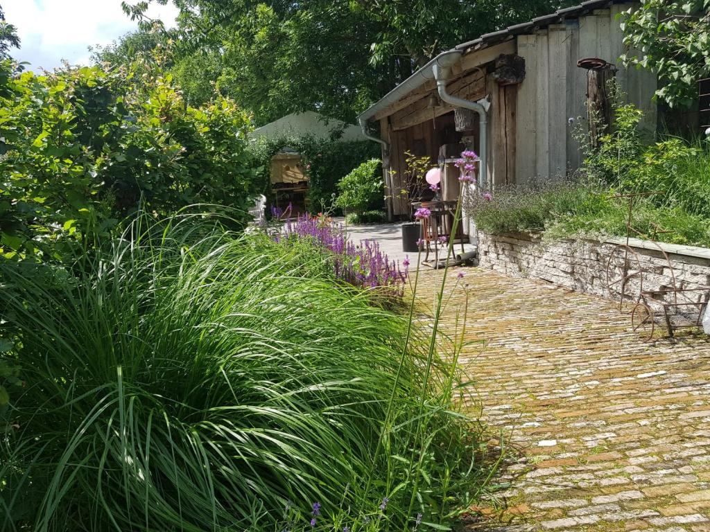 Theetuin Onder de Pannen photo 3