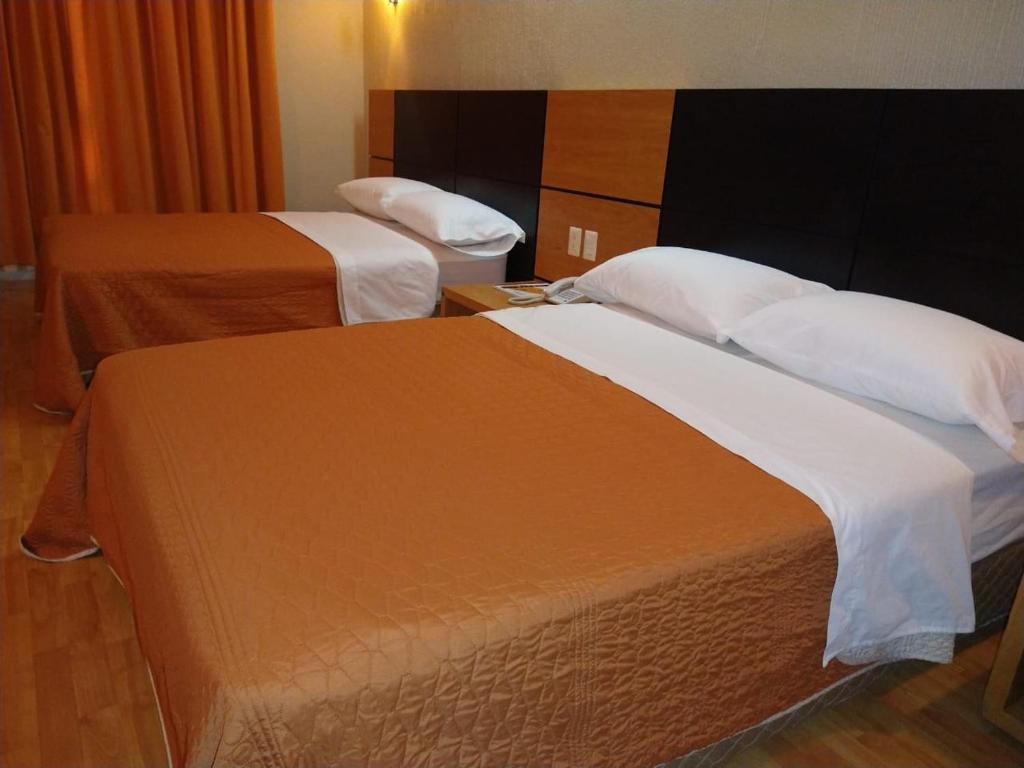 Hotel Oasis photo 1