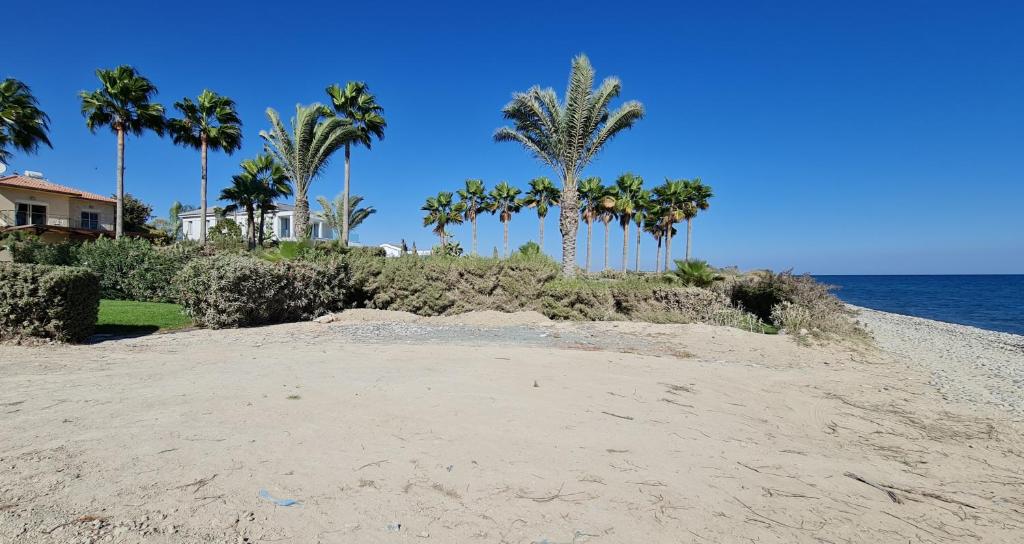 Villa del Mar photo 2