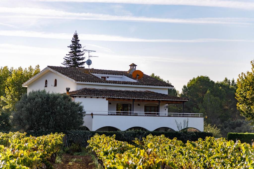 Casa Fontanals photo 2