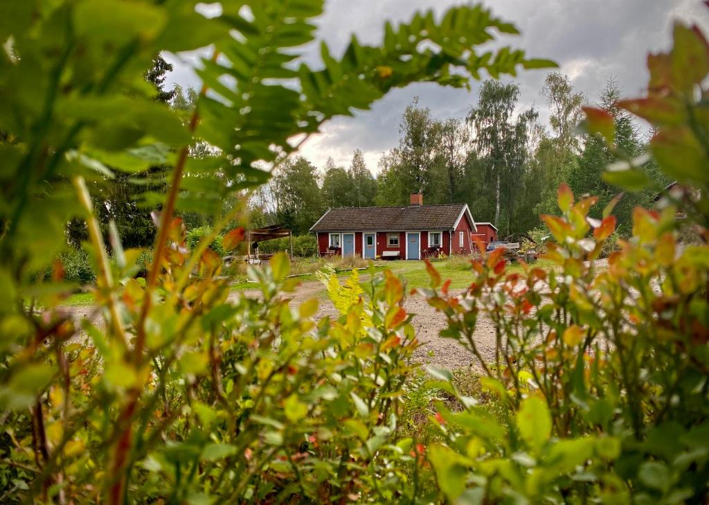 Ekologiska Fru Gran B&B i Tiveden photo 3