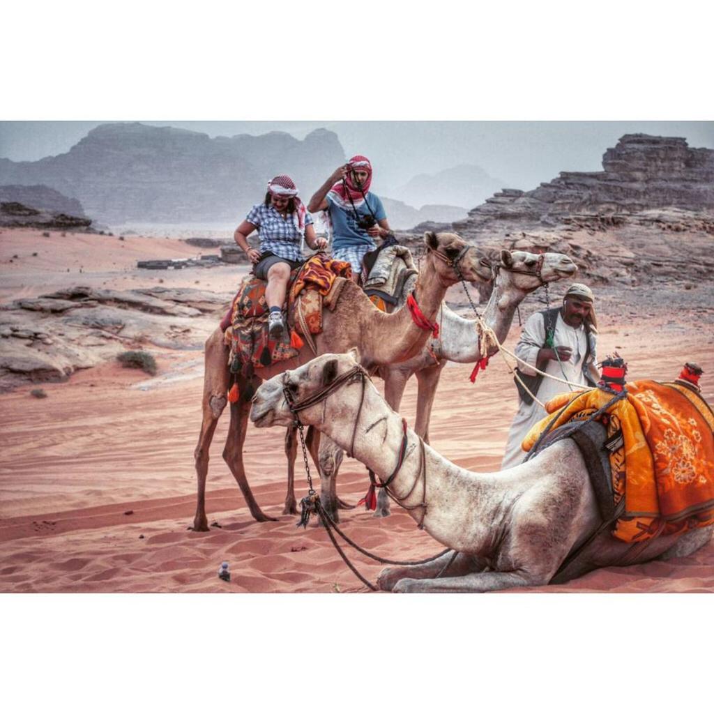 Wadi Rum Dream Camp photo 3