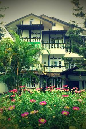Hillview Inn Cameron Highlands PROMO