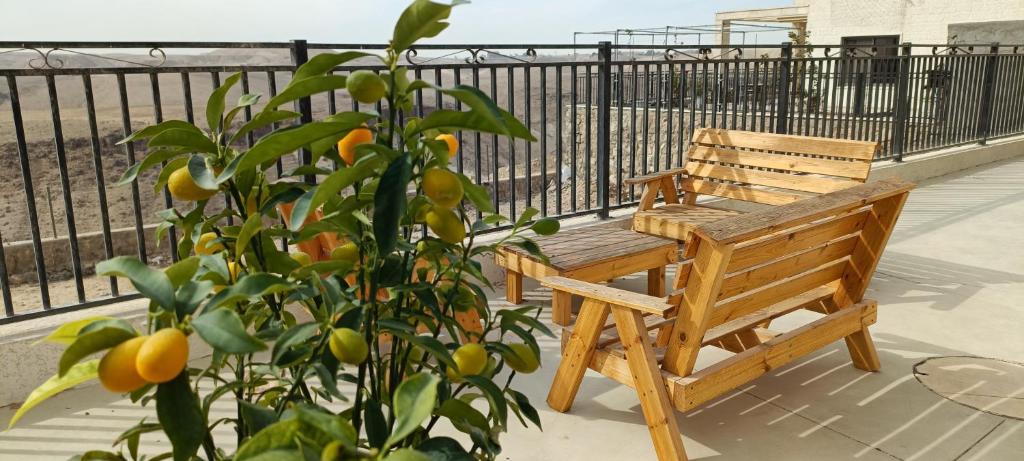 Vastu Dead Sea apartment photo 4