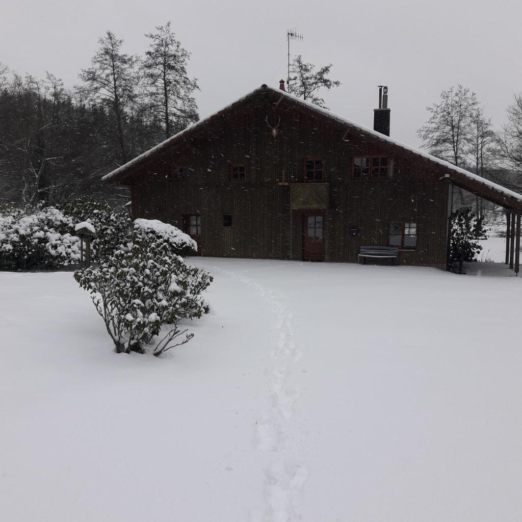 Le Grand Chalet photo 1