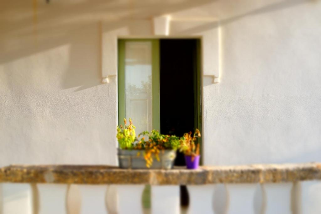 I trulli della Masseria del Salento photo 3