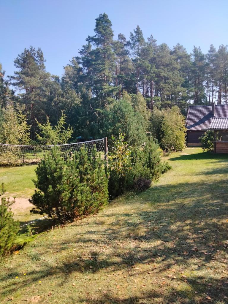 Domek Rokitki photo 1