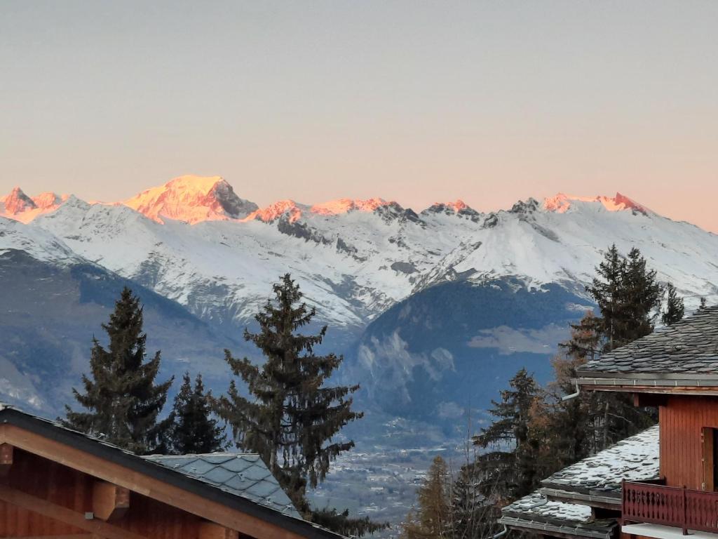 appart entierement renové les coches - la Plagne