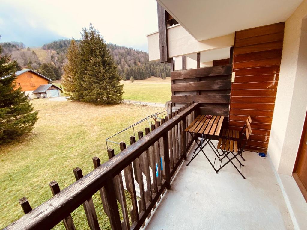 Superbe studio au pied des pistes photo 3
