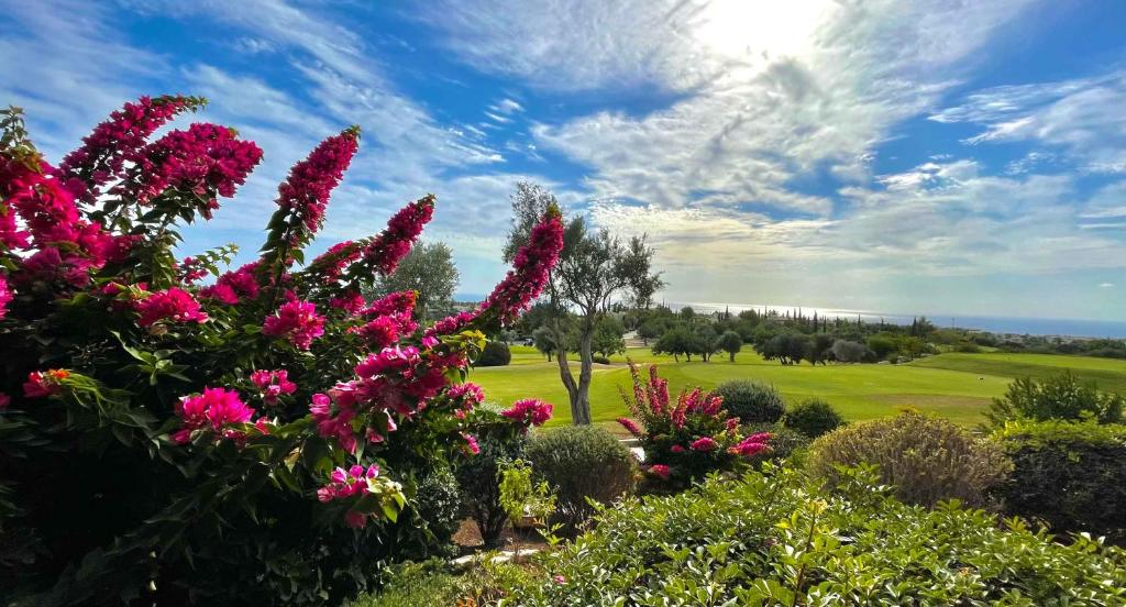 Ground floor apartment with golf and sea views - Roudias, Aphrodite Hills Resort photo 3