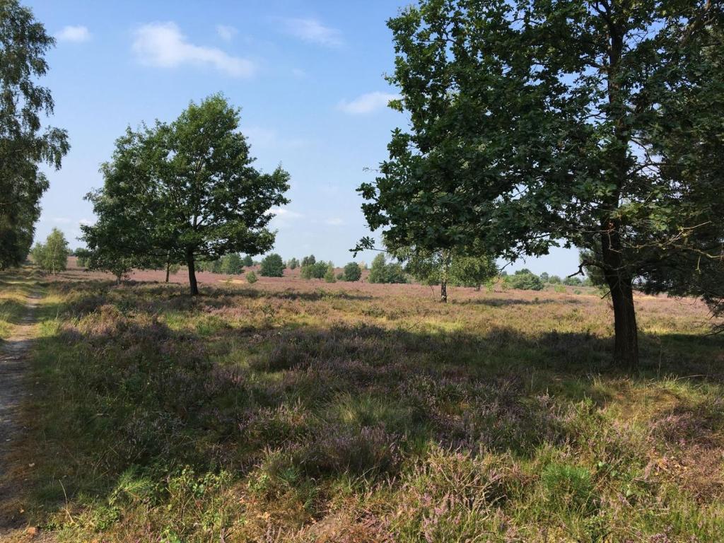 Ferienhof Timmerloher Heide photo 4