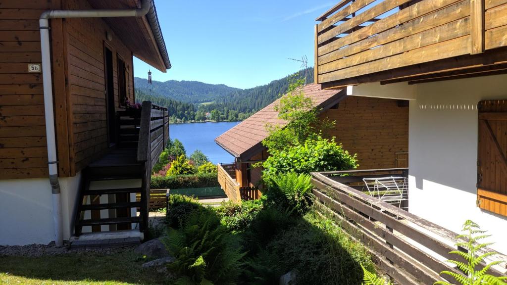 Chalet Vosgien photo 1
