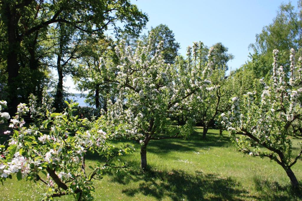 Ferienhof Löschebrand photo 4