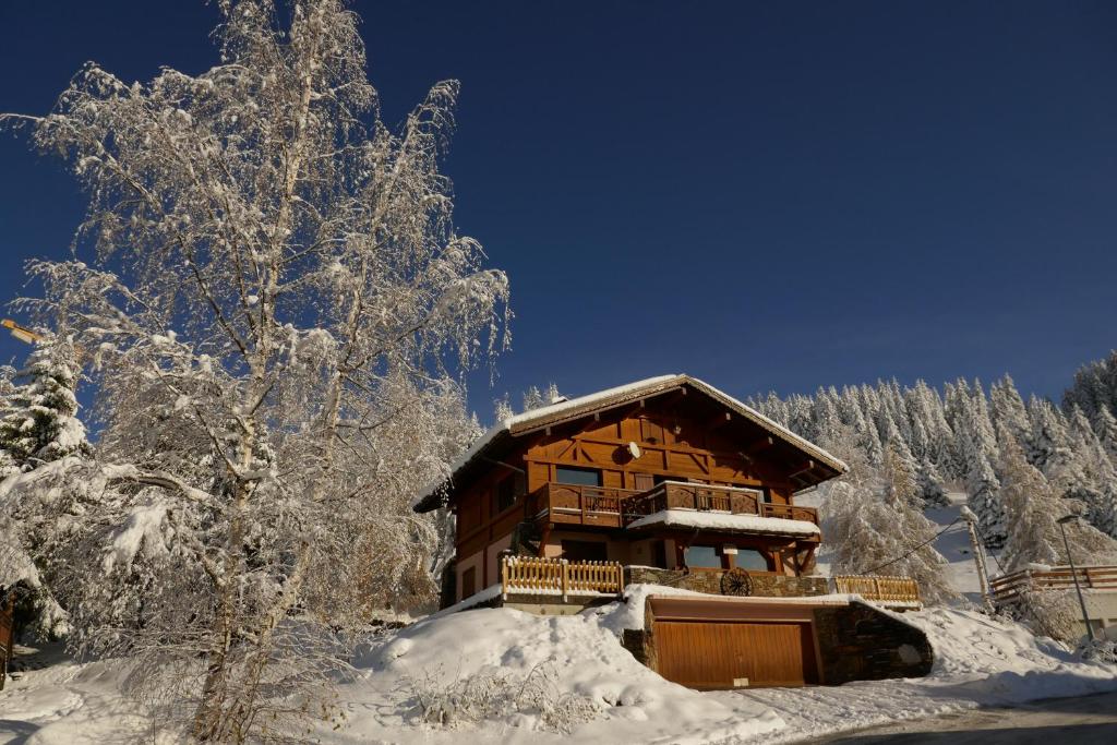 Les Saisies côté Bisanne appartement dans chalet LE Népal photo 4