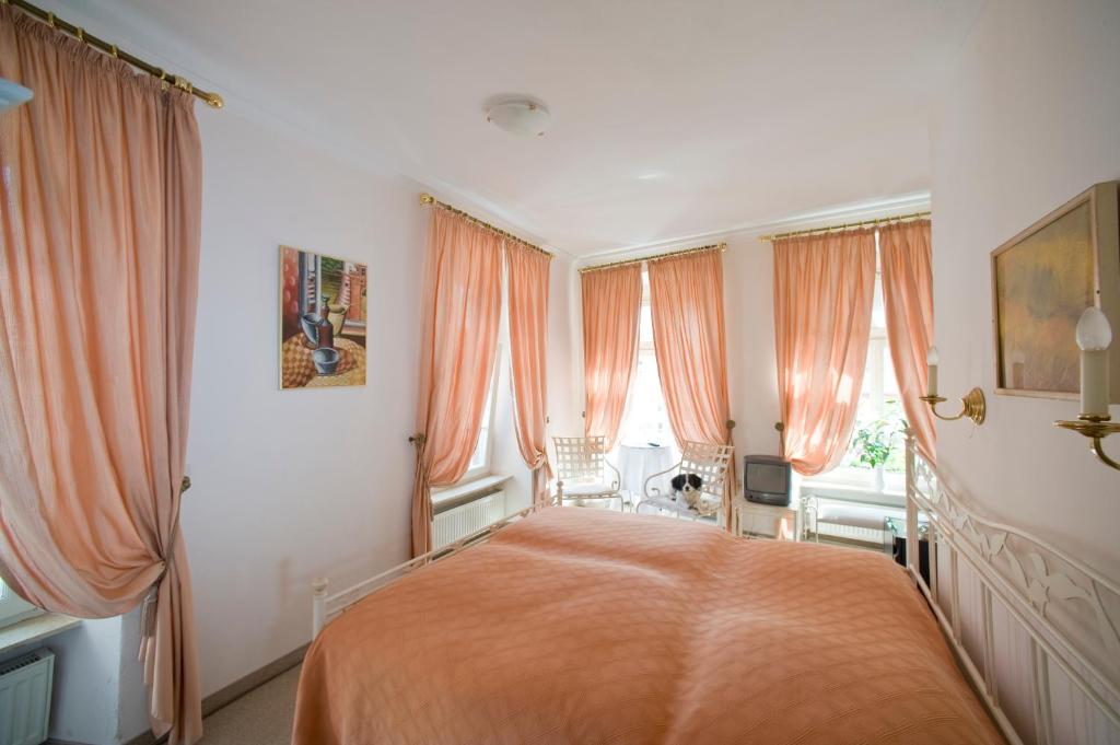 Двухместный (Двухместный номер «Комфорт» с 1 кроватью), Hotel Goldener Hecht