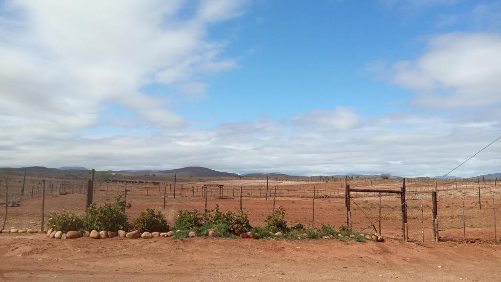 PurePlaas Self catering Volmoed Oudtshoorn Klein Karoo photo 2