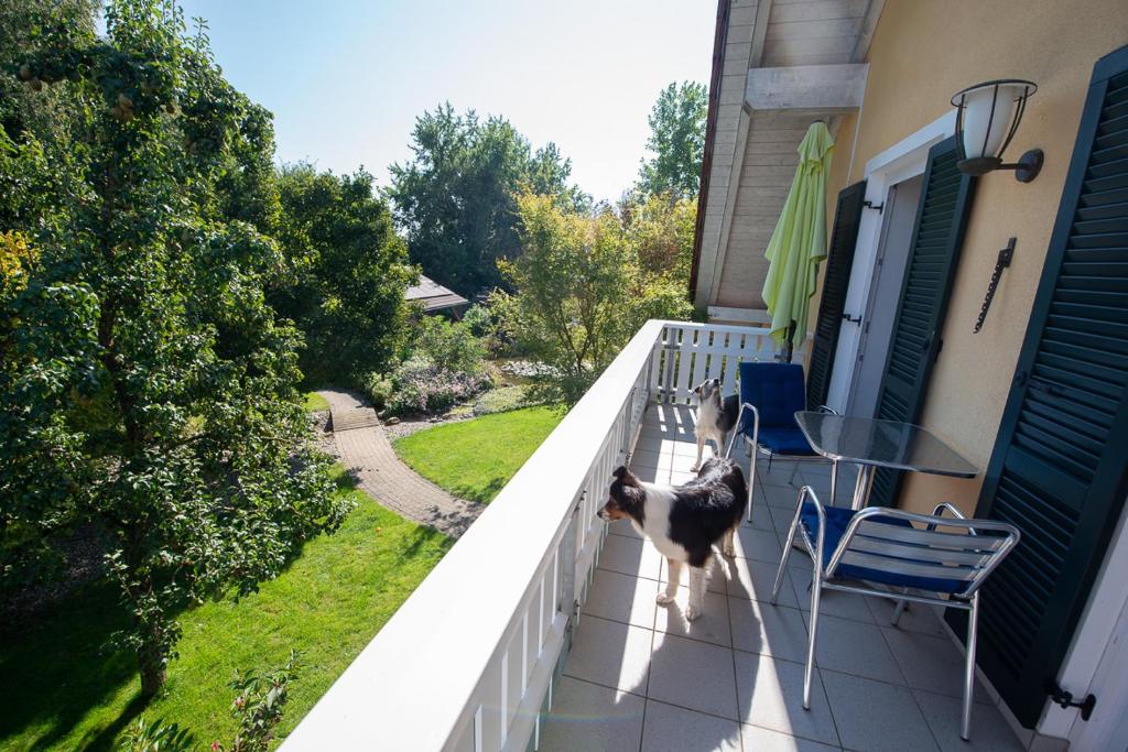 Einzigartige Naturoase im Süden von Ingolstadt photo 1