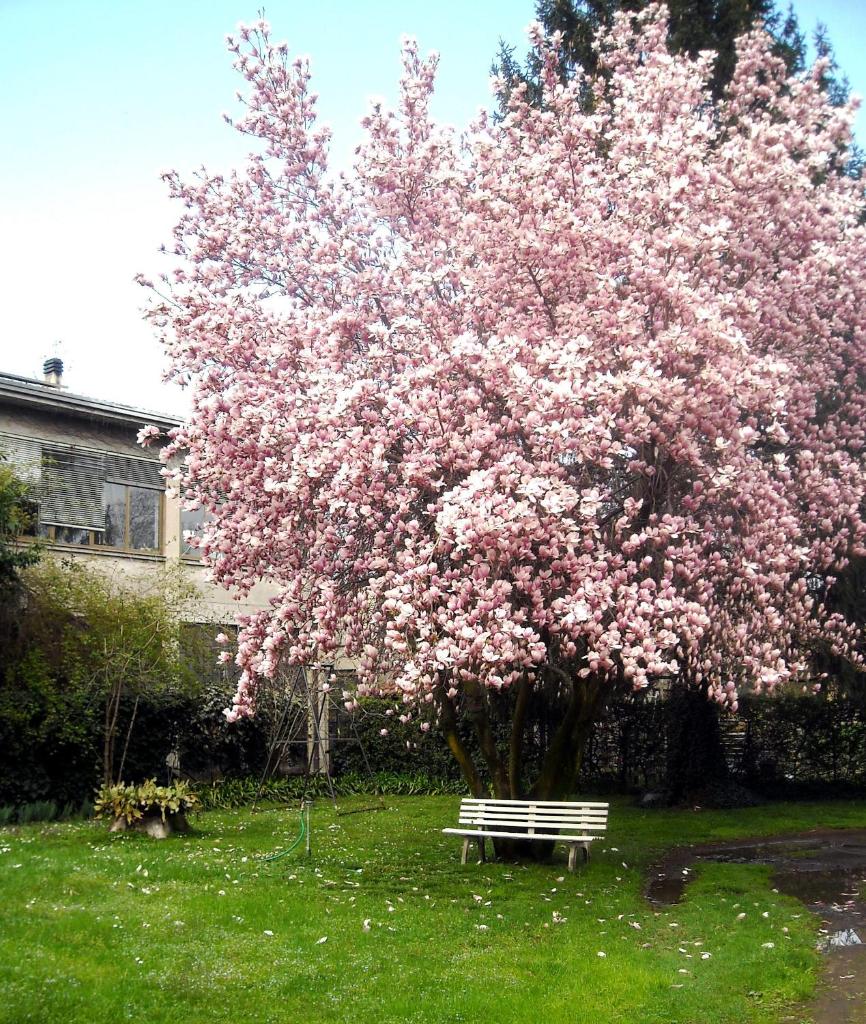 Sentirsi a casa, lontano da casa-feel at home away from home photo 3