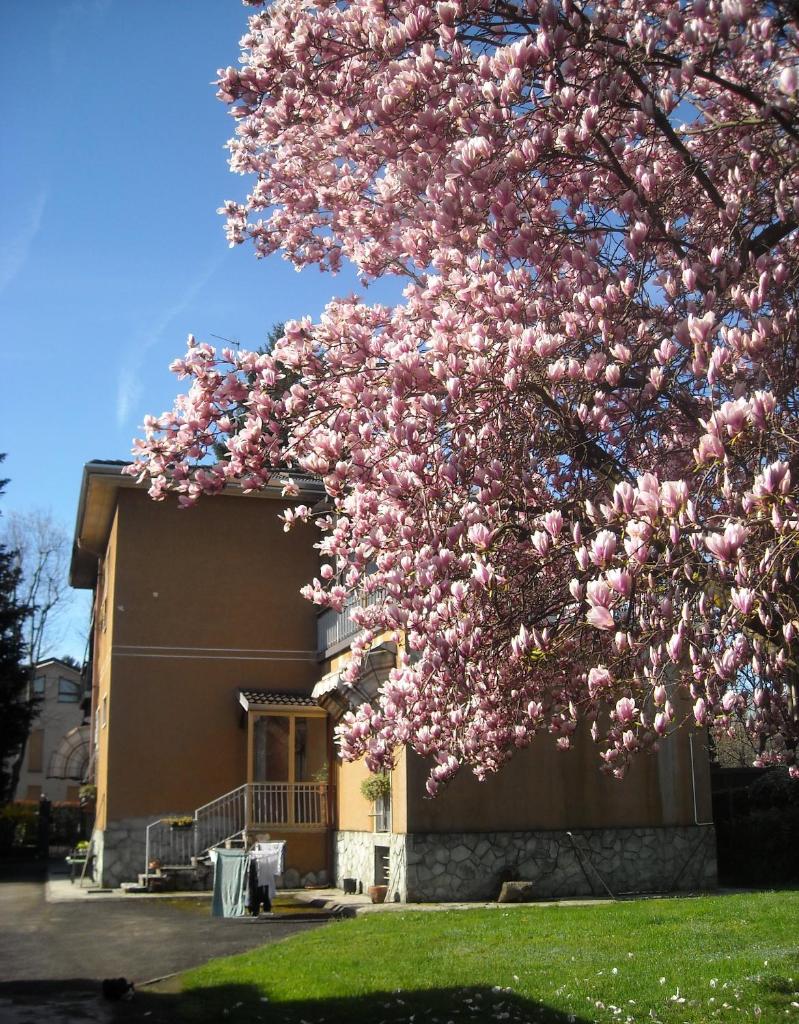 Sentirsi a casa, lontano da casa-feel at home away from home photo 2