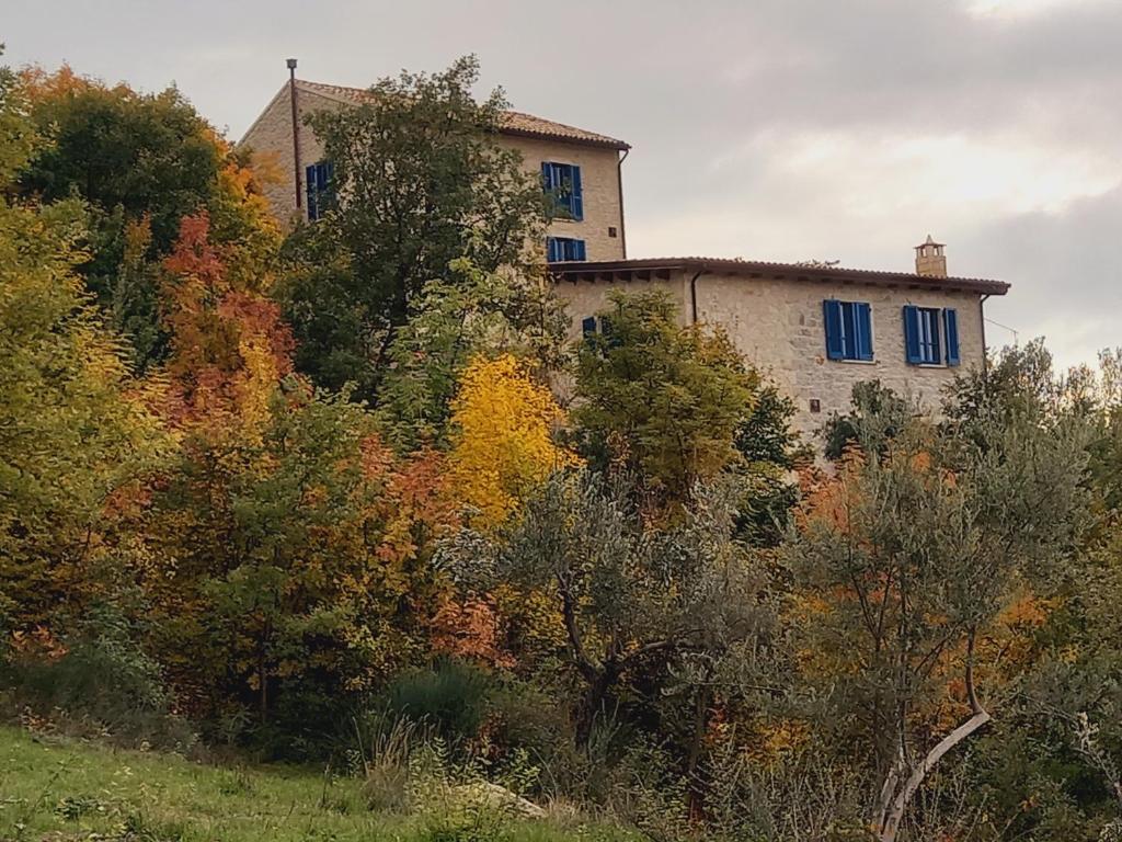 La casa dalle finestre blu photo 2