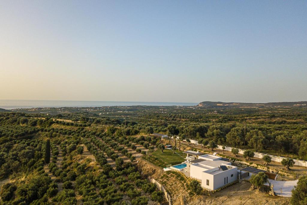 Villa Amna Olive photo 3