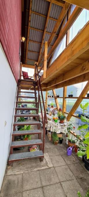 Ferienwohnung mit Pool photo 4