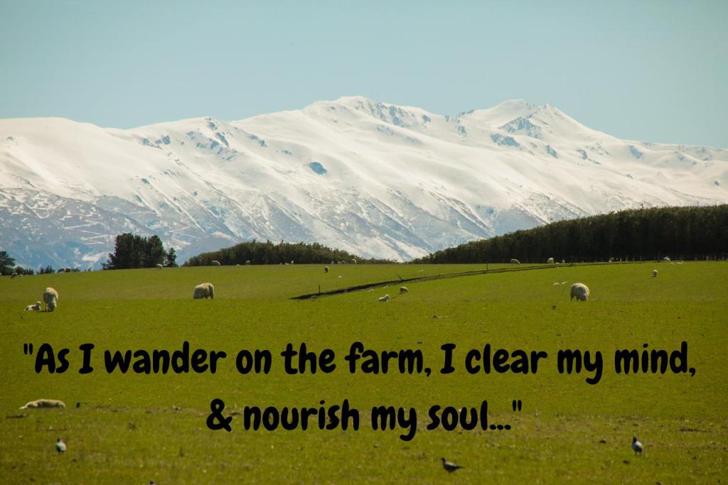Shearvue Farmstay with Optional Free Farm Experience at 5pm photo 1