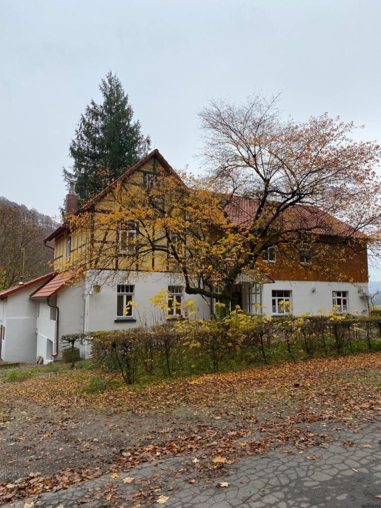 Ferien Langer Grund mitten im Wald photo 1