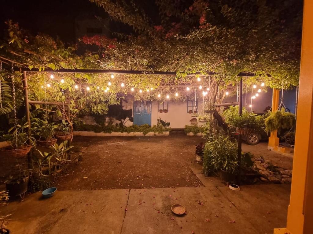 Casa de Luna photo 2