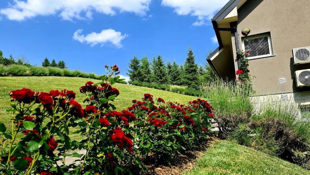 Apartmani Sanja photo 3