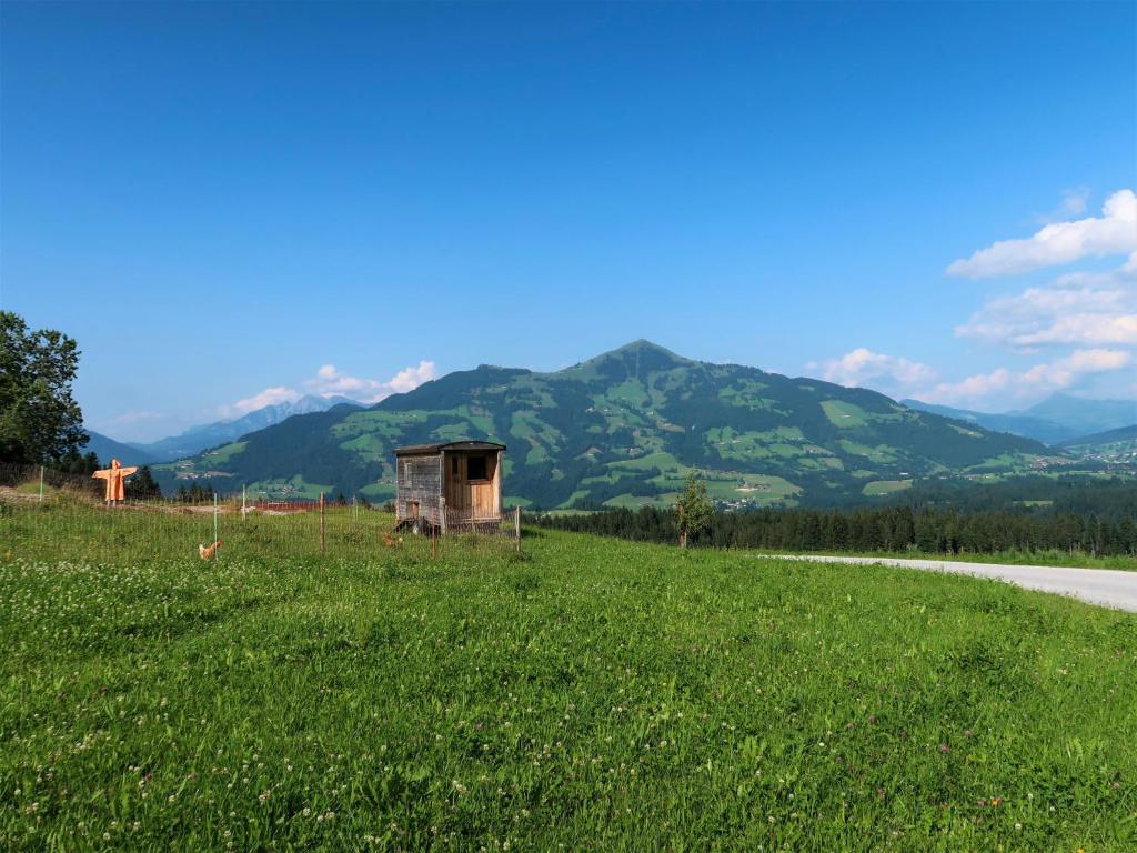 Apartment Entalhof - HGT300 by Interhome photo 4