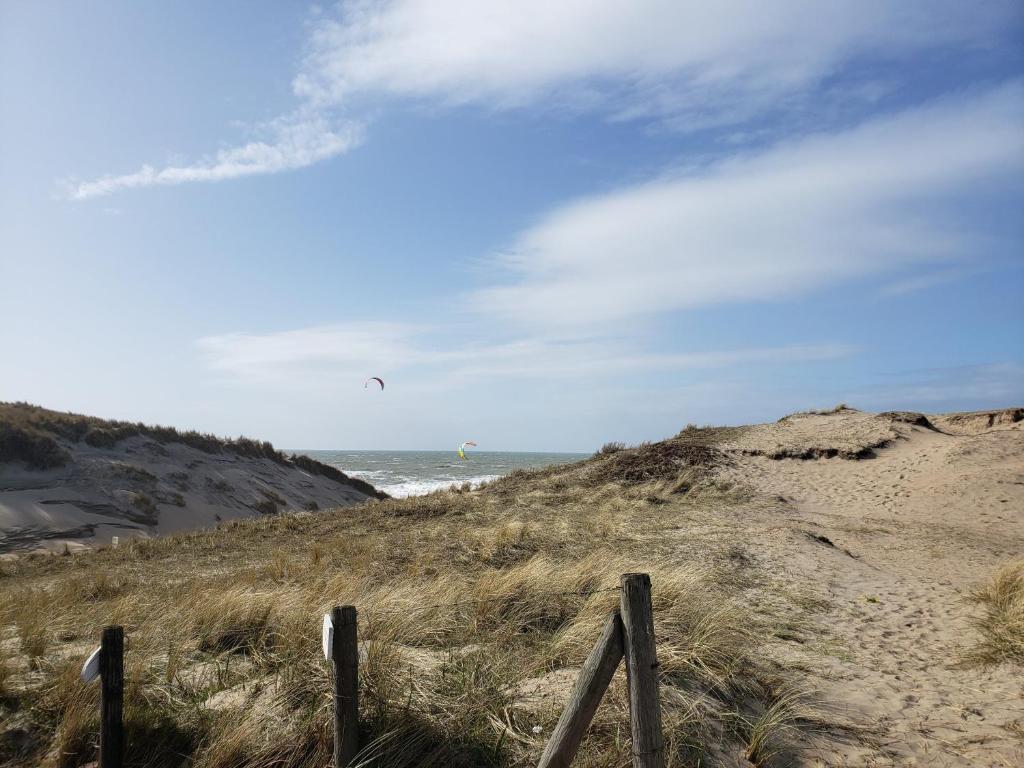 Duinnest photo 3