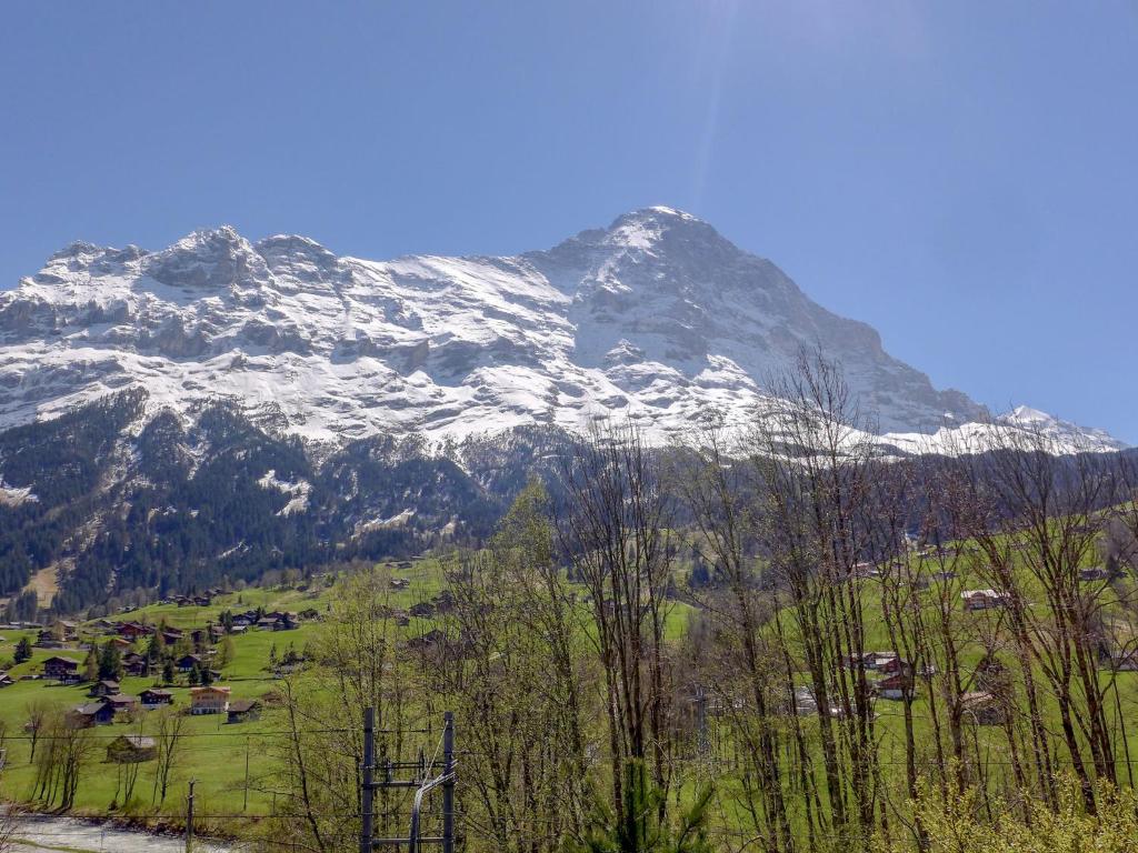 Apartment Chalet Eiger-1 by Interhome photo 3