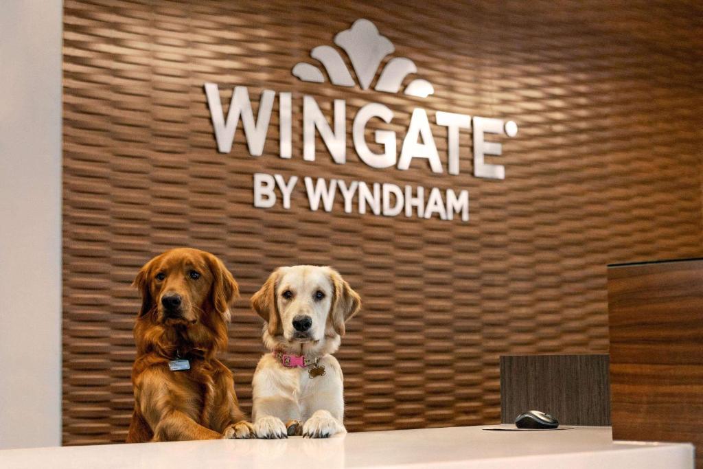 Wingate by Wyndham Lethbridge photo 1