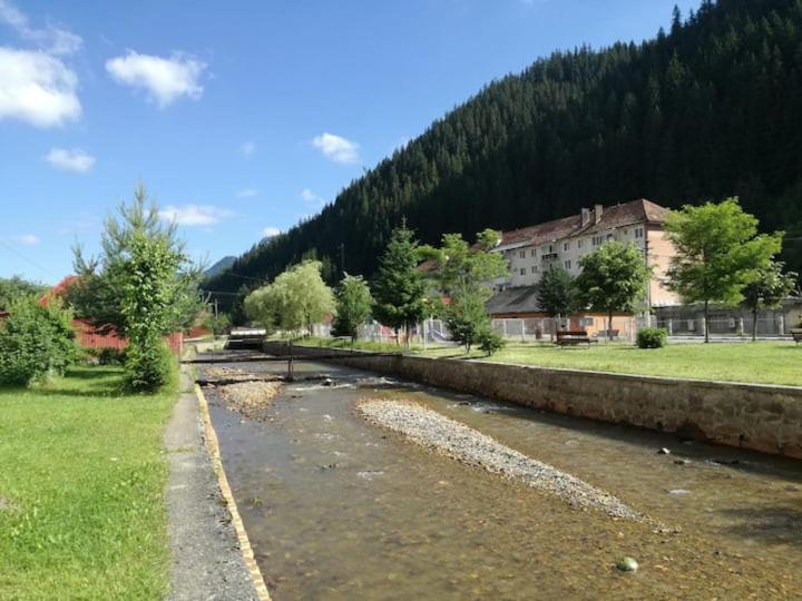 Comoara Hășmașului photo 4