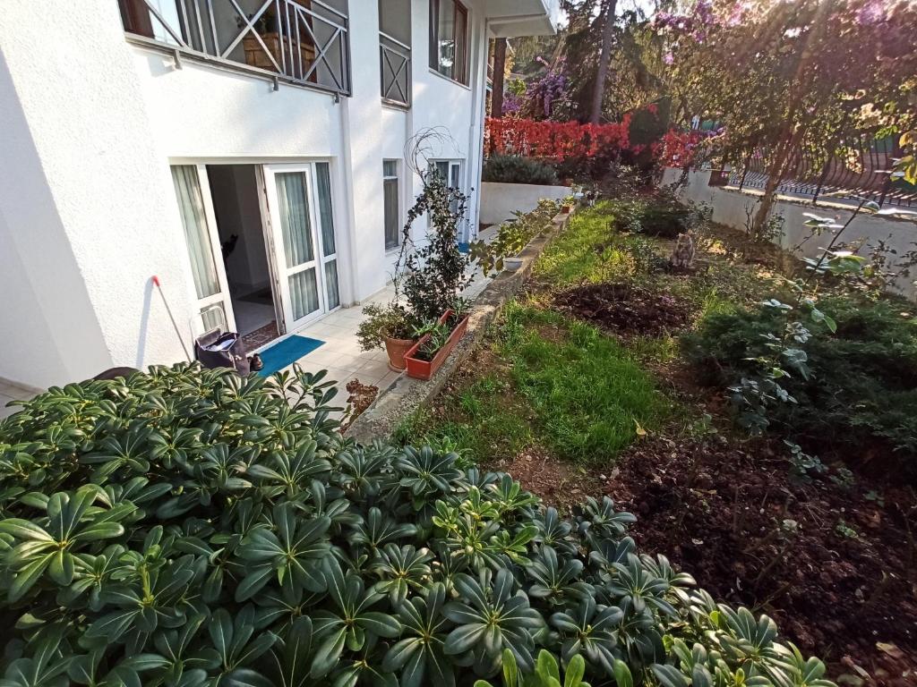 Garden flat in Prince islands, Heybeliada photo 3