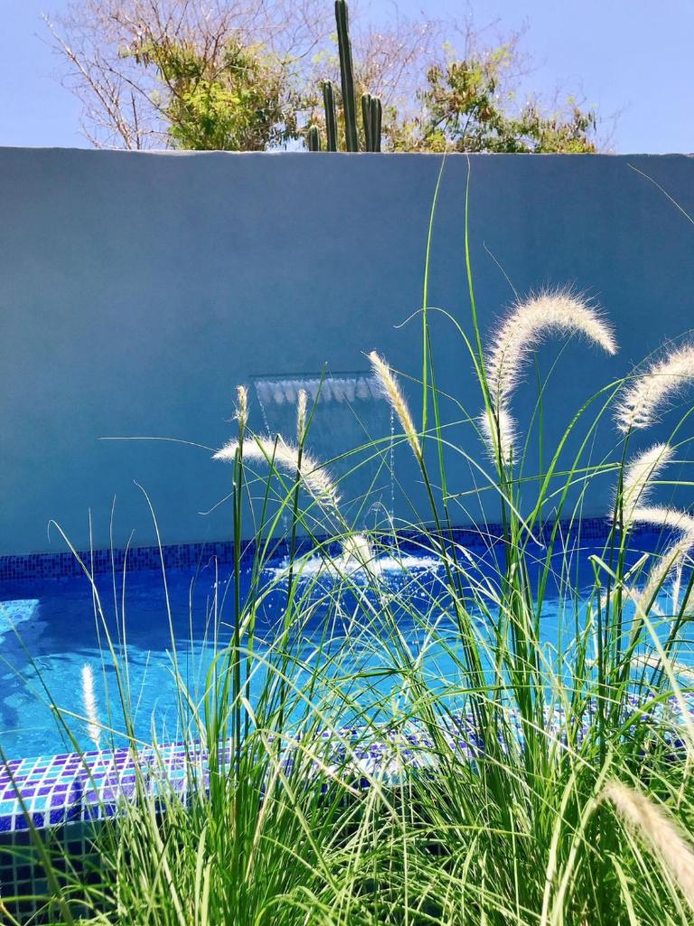 Hotel Casa Nodin photo 3