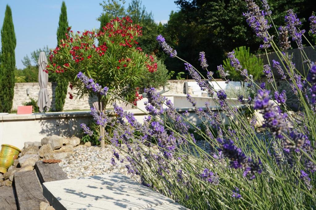 Le Clos des Troubadours photo 4