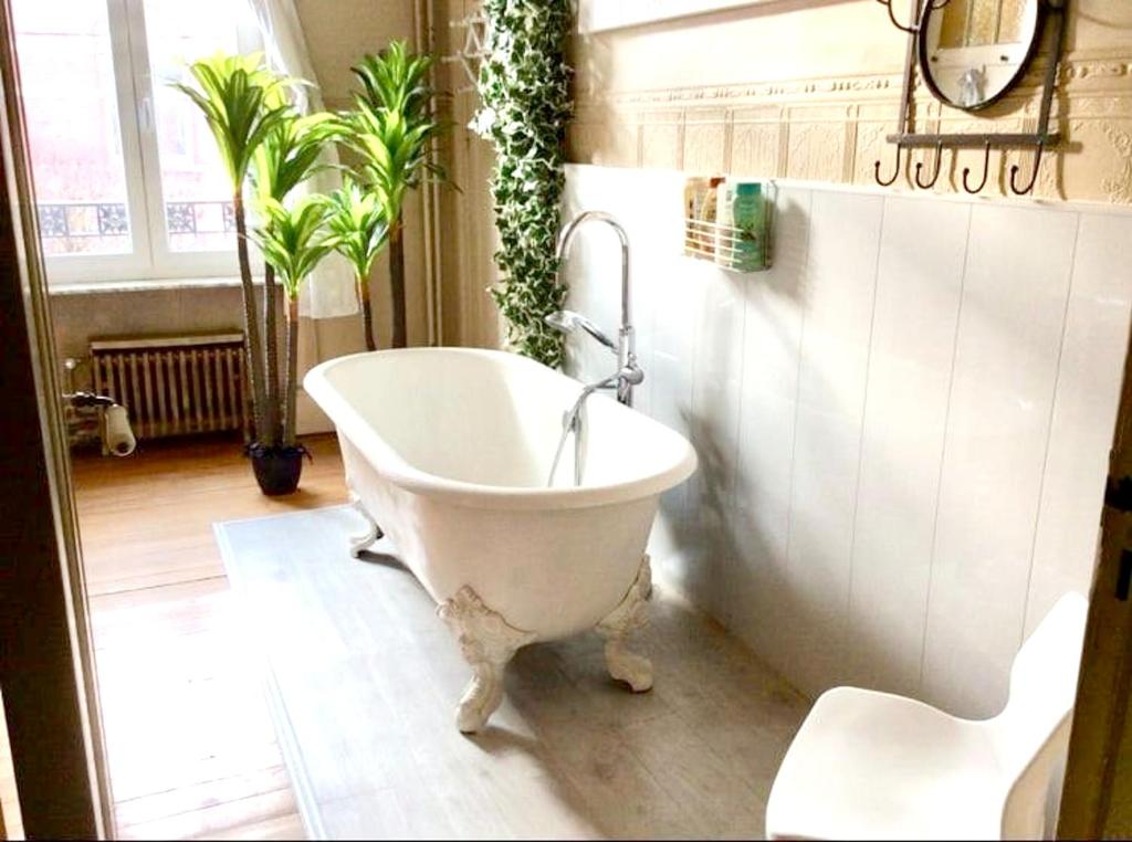 Maison de 5 chambres avec piscine privee jardin clos et wifi a Bailleul photo 4
