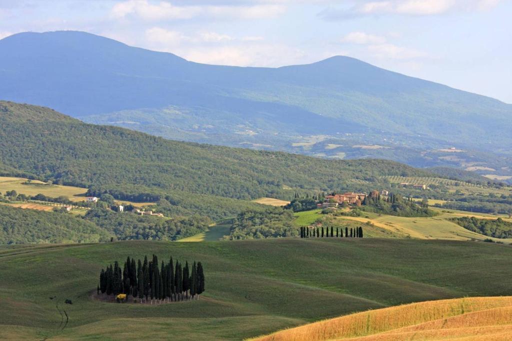 Cordella in Montalcino Wine Resort photo 4