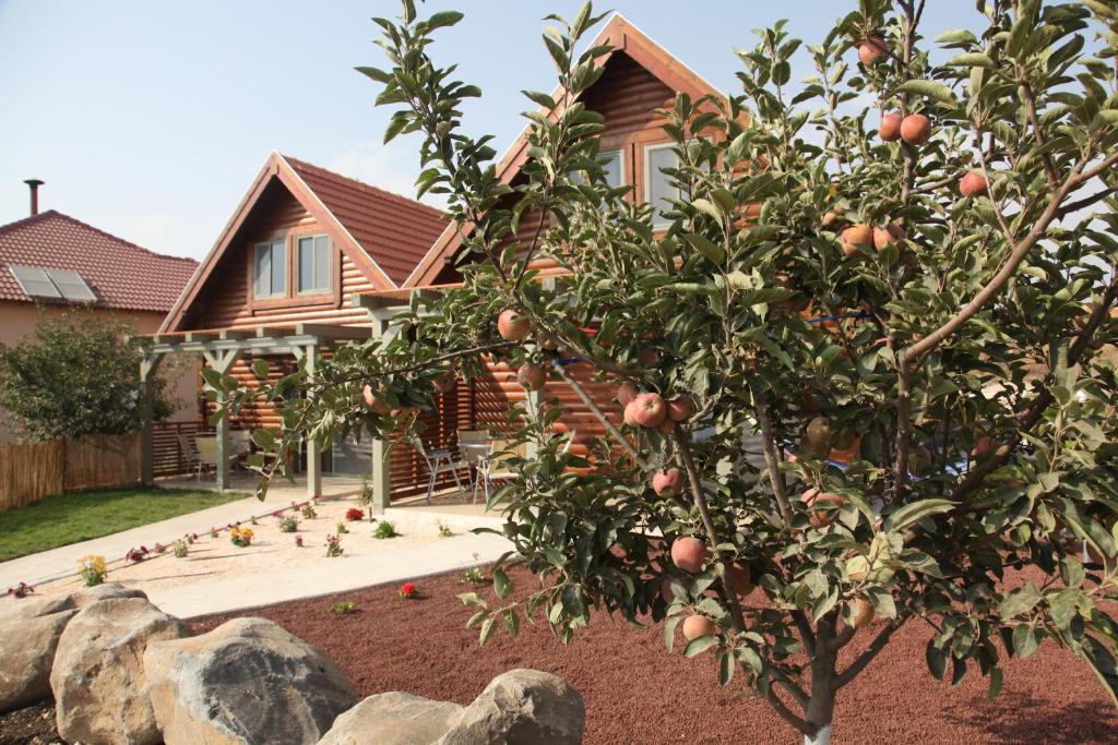 Be-Taam Ahava Suites photo 2