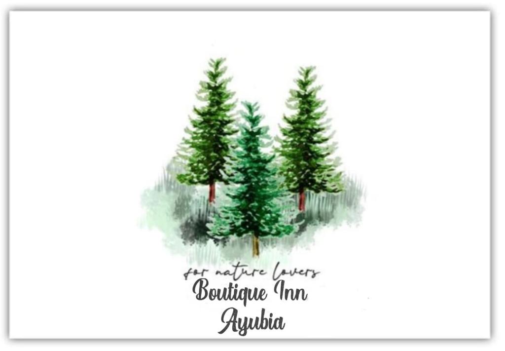 Boutiqueinn Ayubia photo 3
