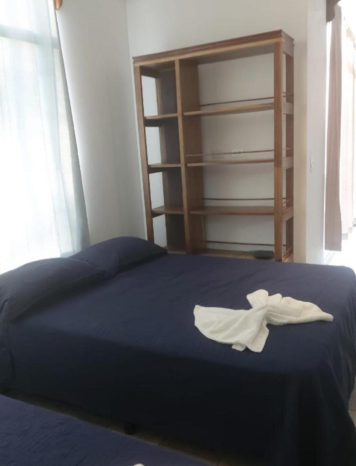 Pura vida apartments photo 4